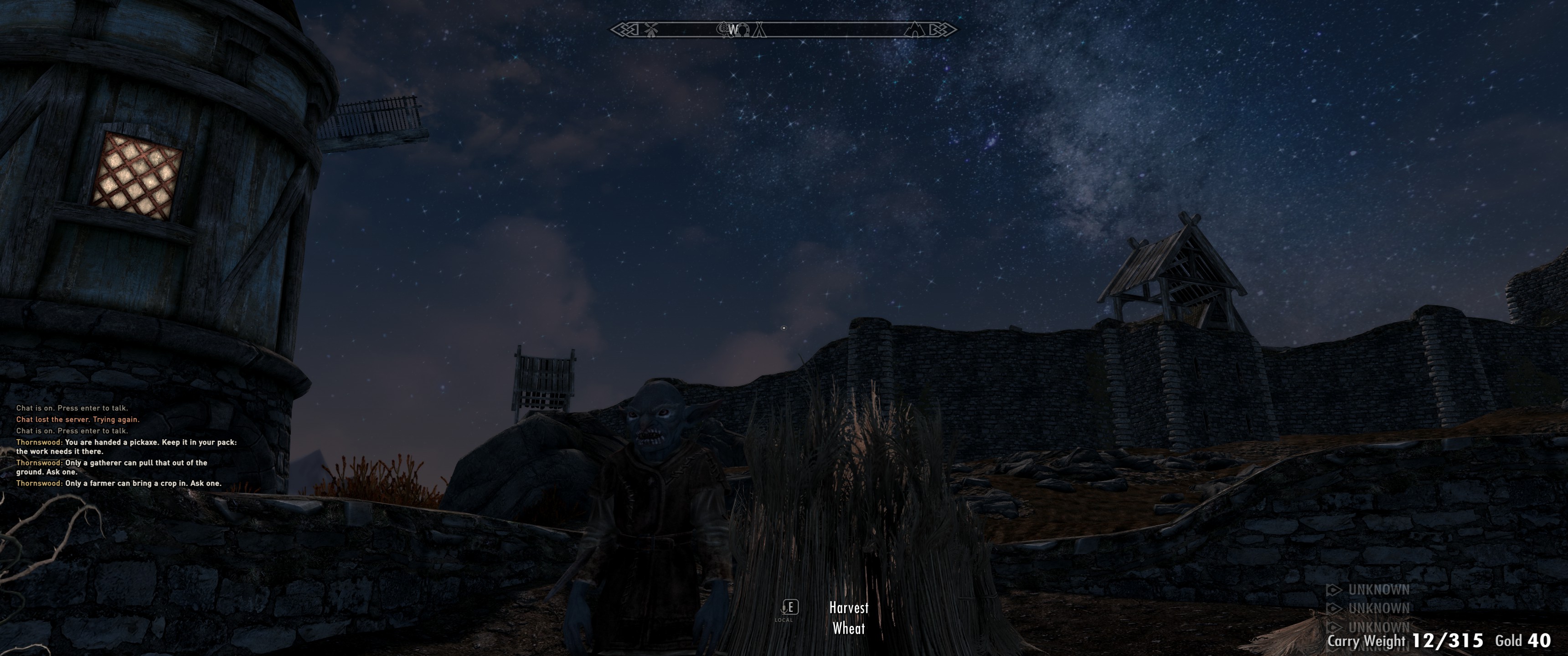 Skyrim scene shared by Patrick & Djinn